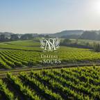 Brand Toolkit Developed for French Winery Chateau De Sours